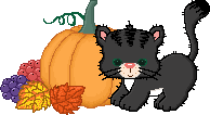 kitty's pumpkin