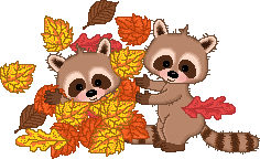 Animated Racoons