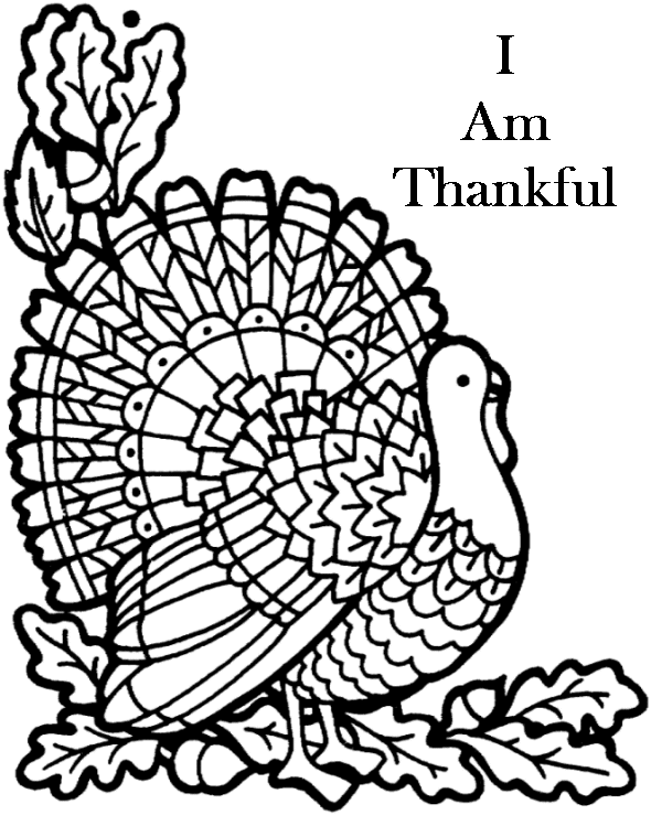 I Am Thankful Turkey